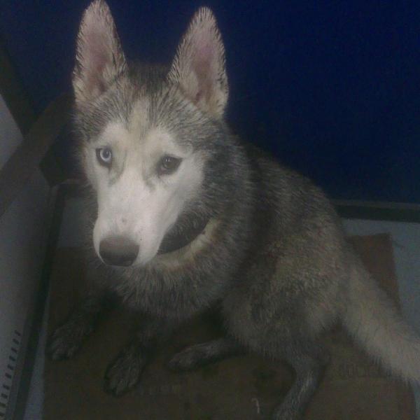 Фото Лиза Казакова