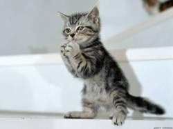 Фото *°•ღღღ.Ванилькаღღღ .▪*: Фото *°•ღღღ.Ванилькаღღღ .▪*: