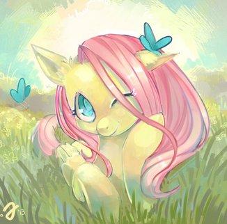 Фото Fluttershy(Рома) Фото Fluttershy(Рома)