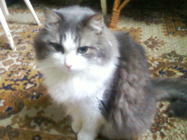 Фото хлебопек