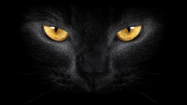 Фото !!ღ♥✿ ARTEMIDA ✿♥ღ: Фото !!ღ♥✿ ARTEMIDA ✿♥ღ: