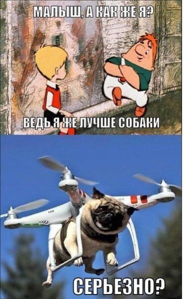Фото Яичкo Фото Яичкo
