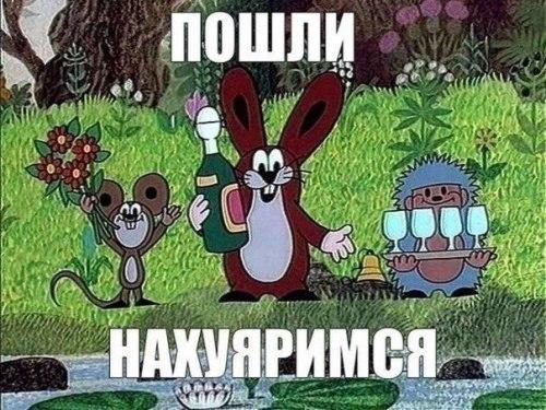 Фото Яичкo Фото Яичкo