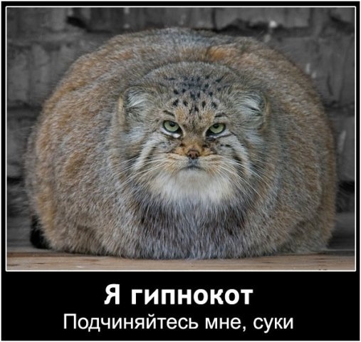 Фото Сергей Холин Фото Сергей Холин
