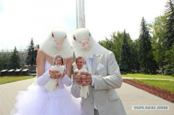 Фото чешуйчатый пездокрыл Фото чешуйчатый пездокрыл