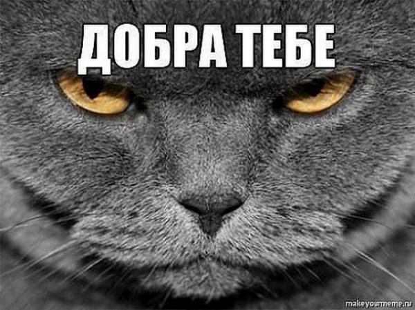 Фото irina_slautskaya@mail.ru Фото irina_slautskaya@mail.ru