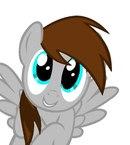 Фото Lololoshka Pony