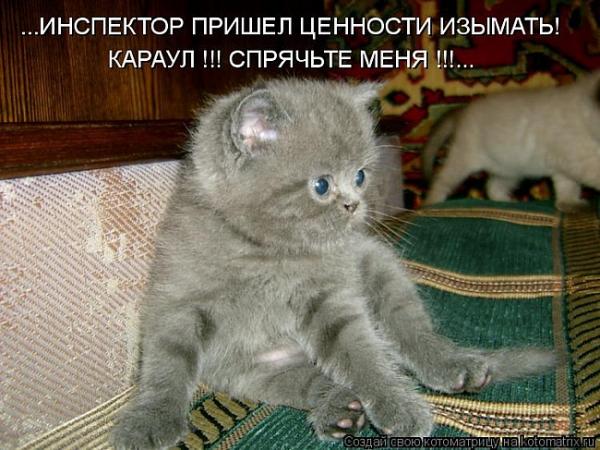 Фото АнютикНя Фото АнютикНя