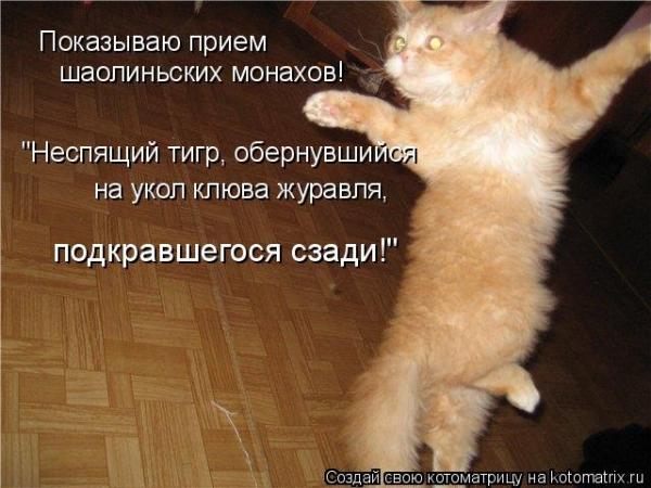 Фото АнютикНя Фото АнютикНя