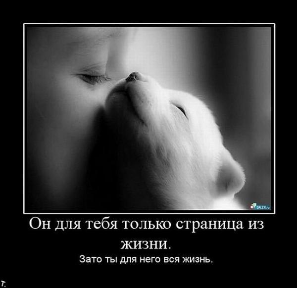 Фото КлУбНиЧк@ Фото КлУбНиЧк@