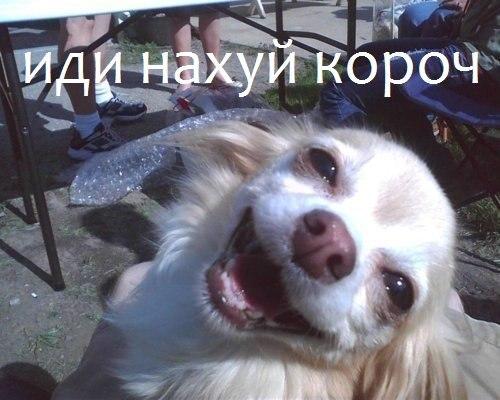 Фото 2 LiFe™ ЗАРАЗА