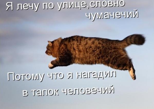 Фото Ксения Лебедь