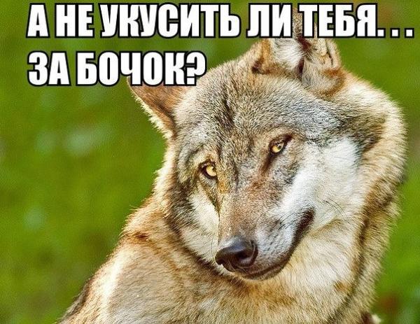 Фото Дмитрий Любер Фото Дмитрий Любер
