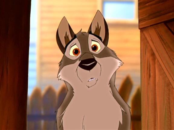 Фото Wolf-1 Фото Wolf-1