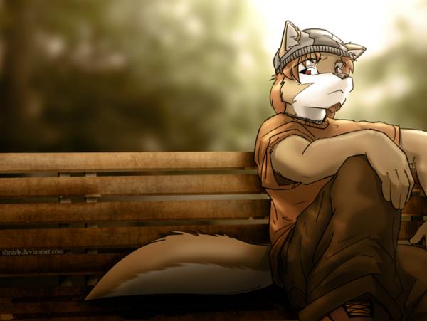 Фото Wolf-1 Фото Wolf-1