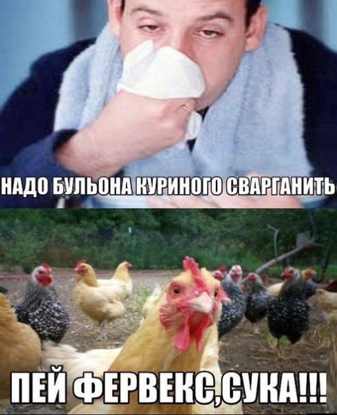 Фото солнечный зайчик Фото солнечный зайчик