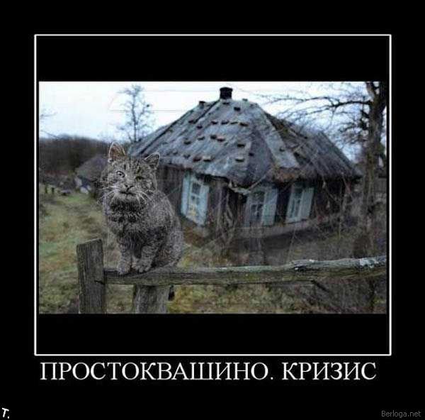 Фото Тарас Арсеньев