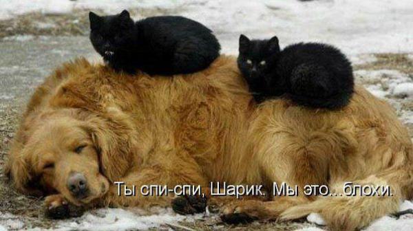 Фото Ариначка Фото Ариначка