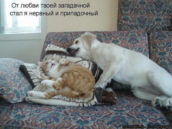 Фото Врединка))) Фото Врединка)))
