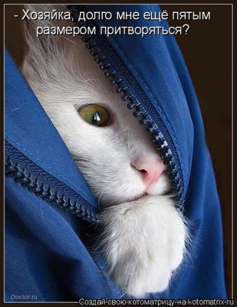 Фото Врединка))): кошара 5 размер Фото Врединка))): кошара 5 размер