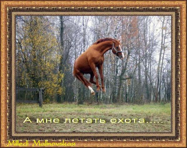 Фото Врединка))) Фото Врединка)))