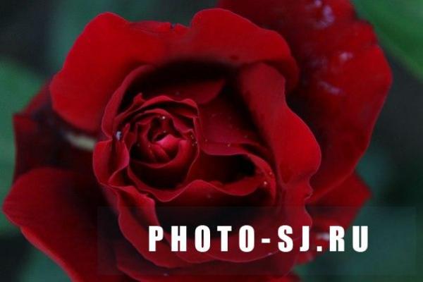 Фото Валентина Чуба