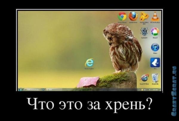 Фото Диныч Кэтсвилл Фото Диныч Кэтсвилл