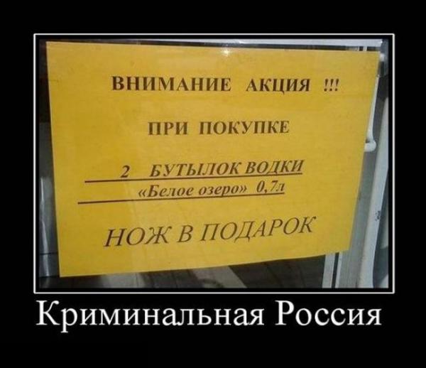 Фото Диныч Кэтсвилл Фото Диныч Кэтсвилл
