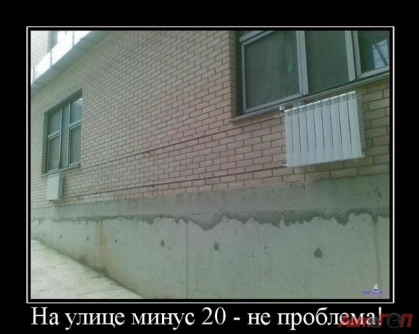 Фото Диныч Кэтсвилл Фото Диныч Кэтсвилл