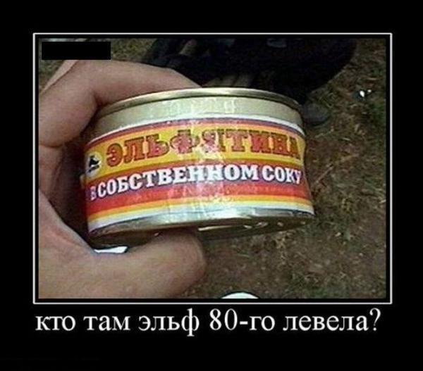 Фото Диныч Кэтсвилл Фото Диныч Кэтсвилл