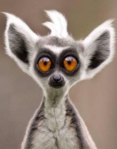 Фото olga blagut