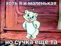 Фото «« Нежная »» Фото «« Нежная »»