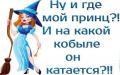 Фото «« Нежная »» Фото «« Нежная »»