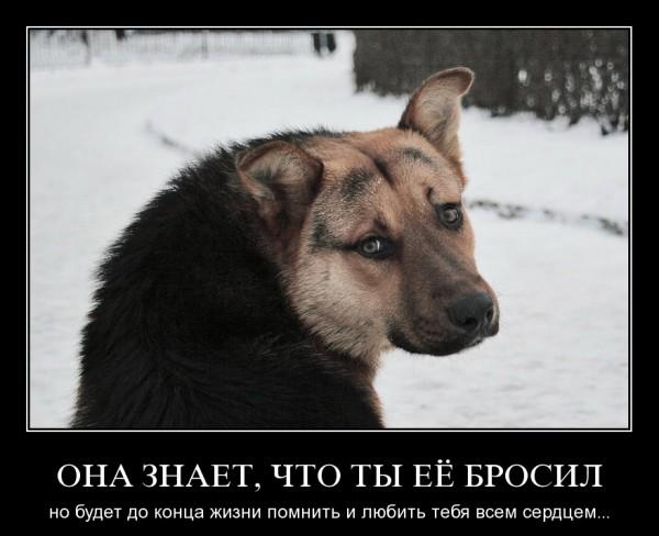 Фото Юля Бабенко: ( Фото Юля Бабенко: (