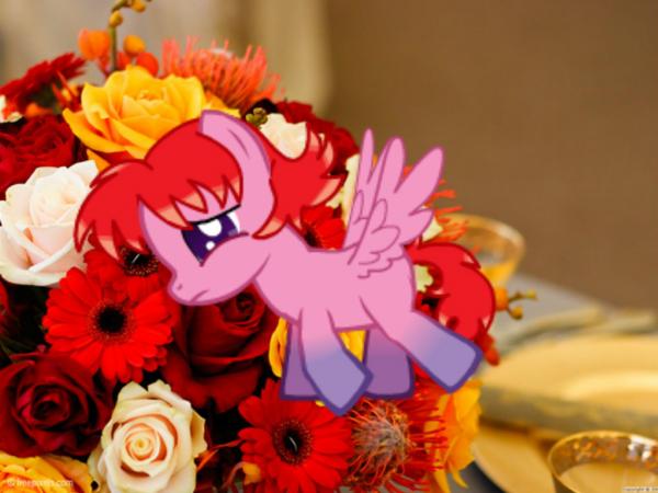 Фото Рия****))))))))) (Люблю его)