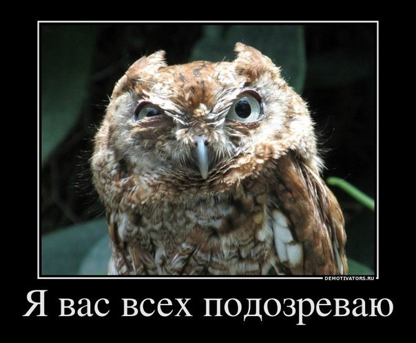 Фото Лизочка Степанова Фото Лизочка Степанова