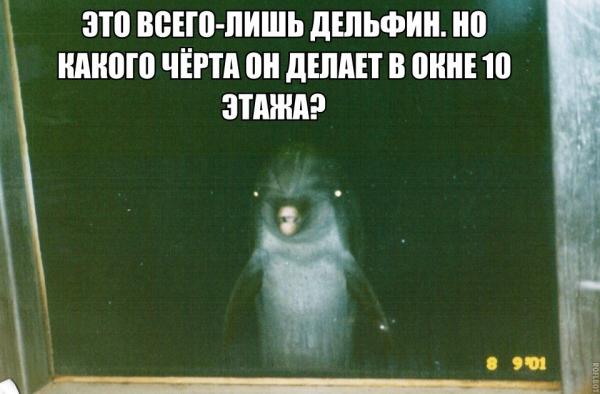 Фото Антилогика Фото Антилогика