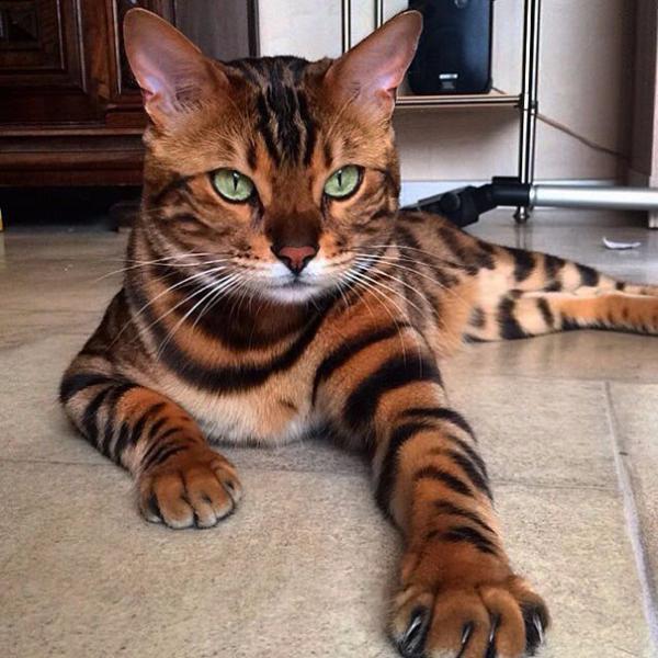 Фото Виталий Прислонов Фото Виталий Прислонов