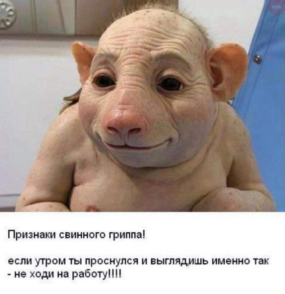 Фото Август Гатсби Фото Август Гатсби